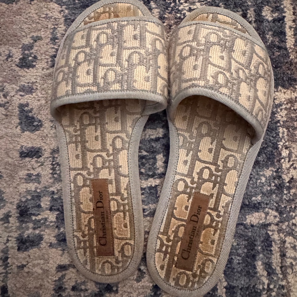 Dior slides